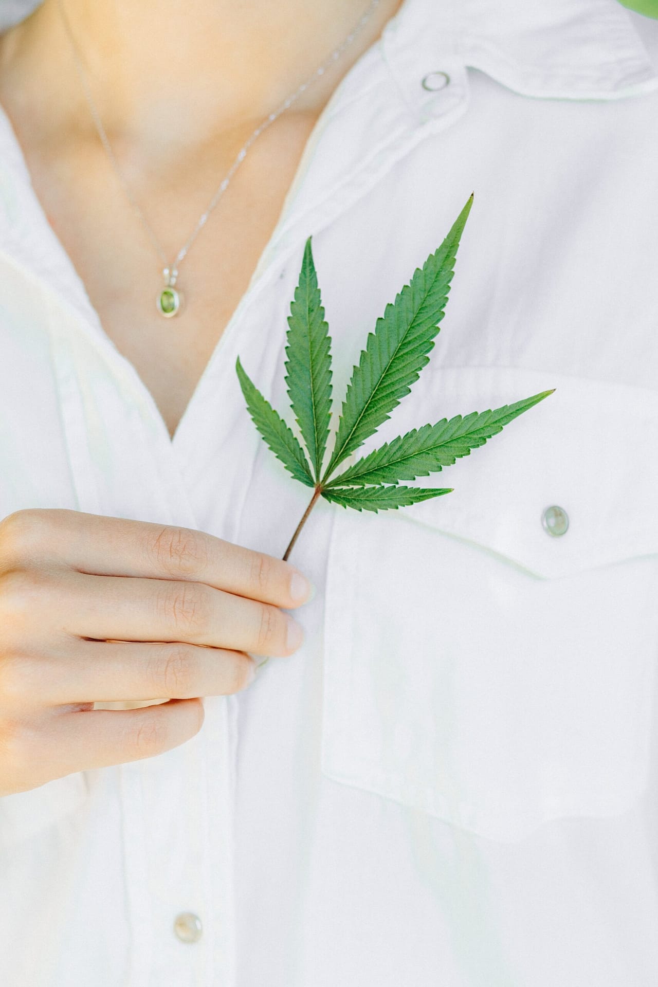 How To Navigate Zoning Regulations For A Cannabis Business In New Hampshire. How To Navigate Zoning Regulations For A Cannabis Business In New Hampshire.