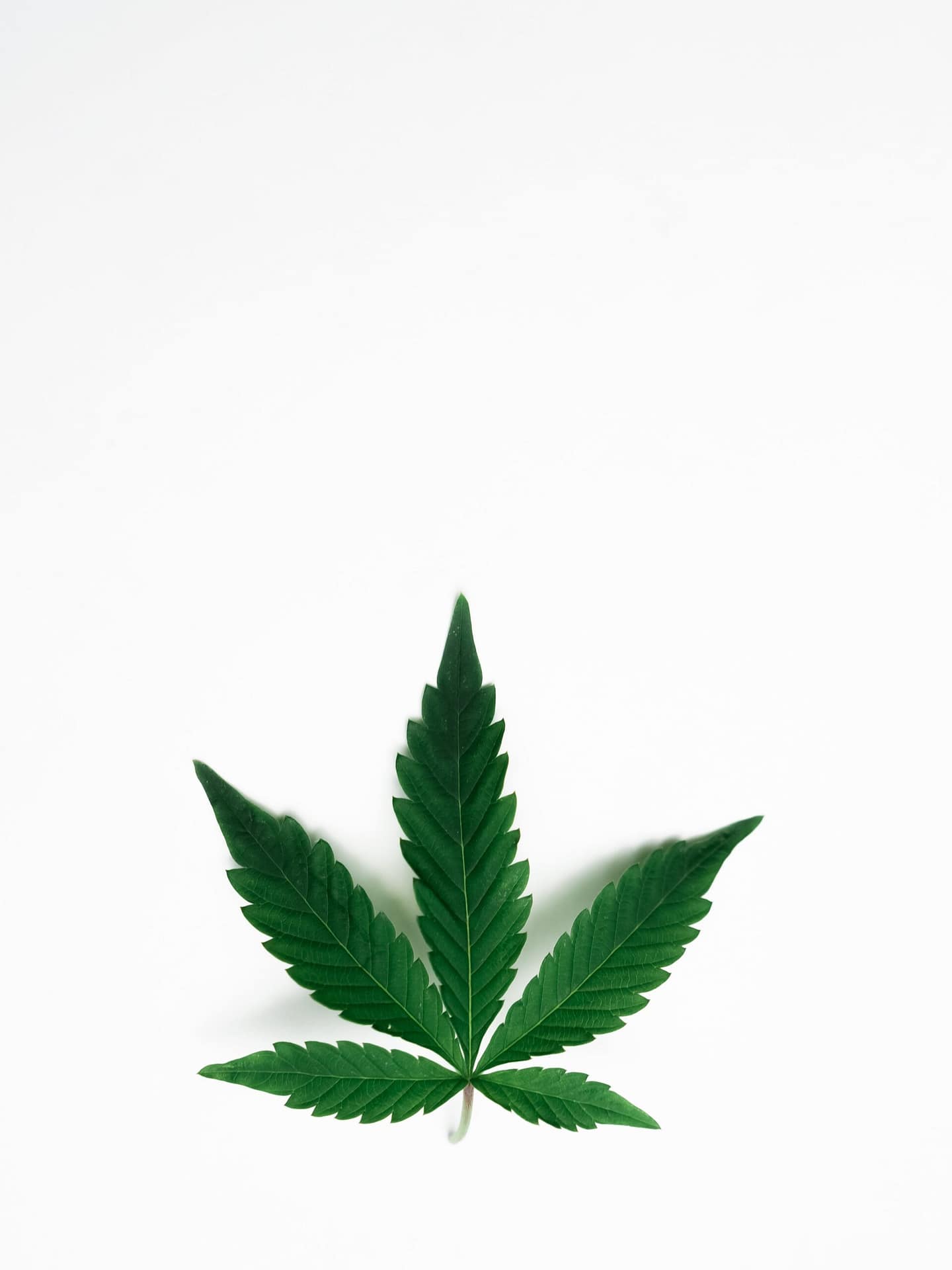 How To Navigate Zoning Regulations For A Cannabis Business In Virginia. How To Navigate Zoning Regulations For A Cannabis Business In Virginia.