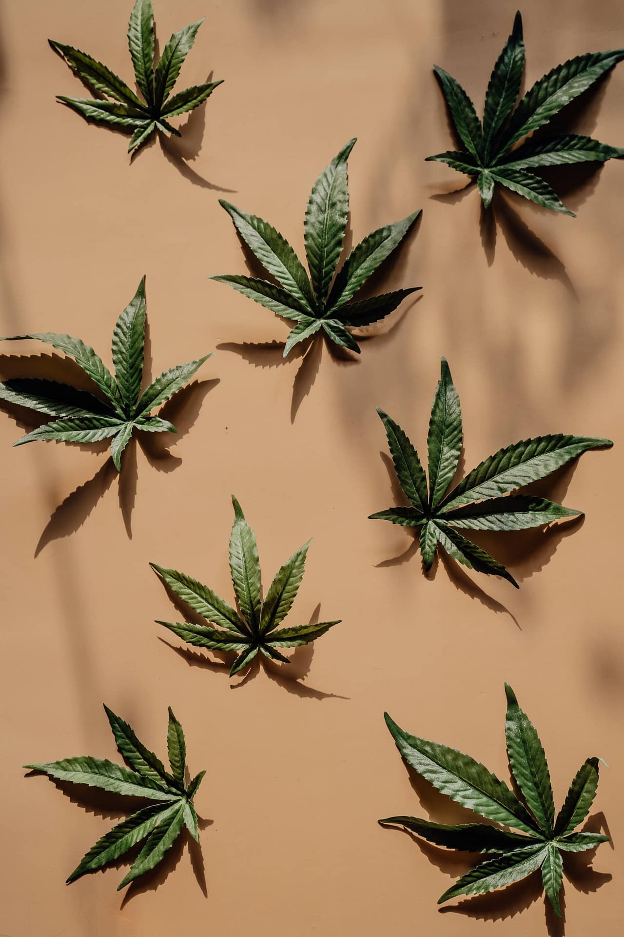 How To Navigate Zoning Regulations For A Cannabis Business In Virginia. How To Navigate Zoning Regulations For A Cannabis Business In Virginia.