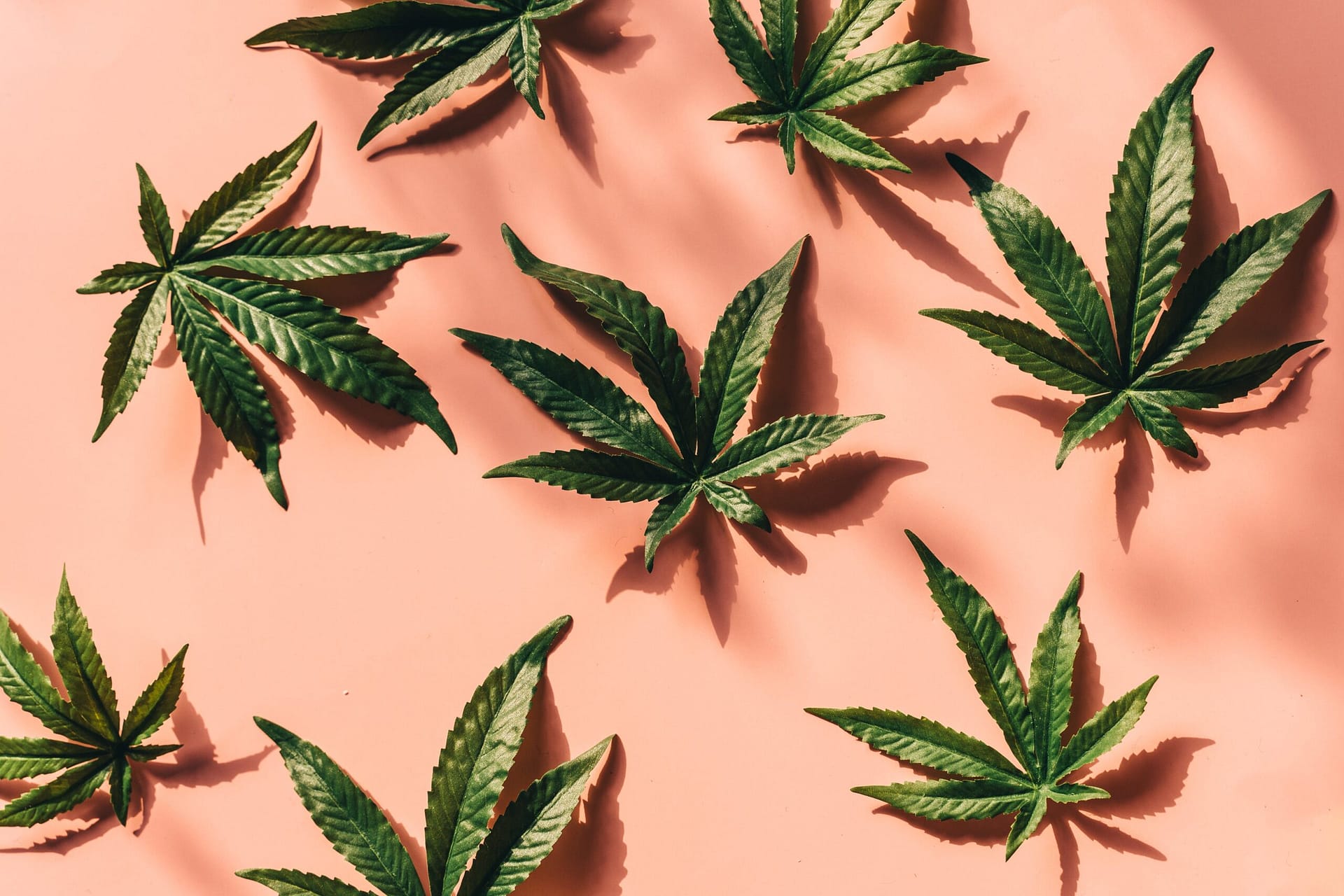How To Navigate Zoning Regulations For A Cannabis Business In Virginia. How To Navigate Zoning Regulations For A Cannabis Business In Virginia.
