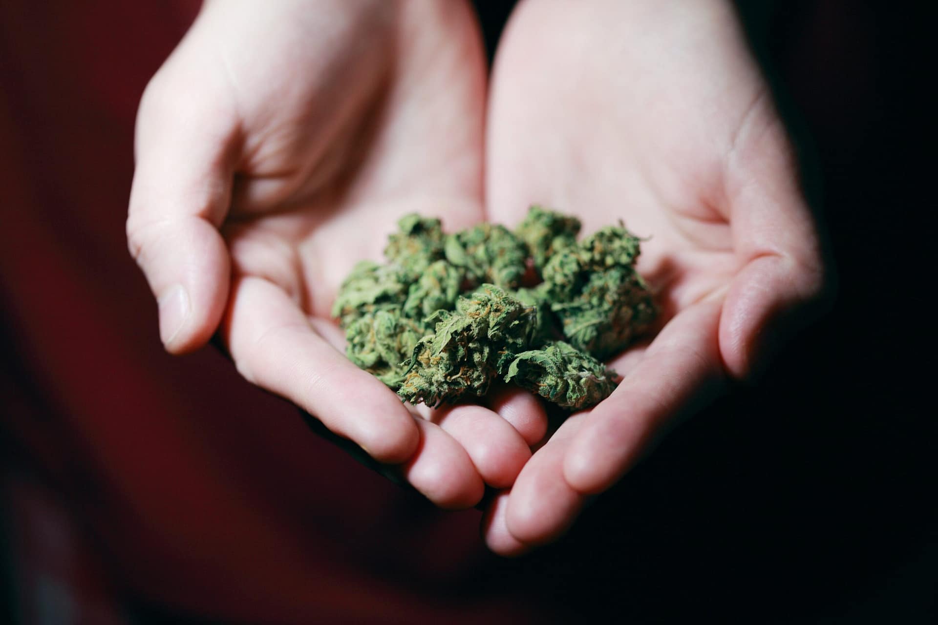 Legal Implications Of Selling Cannabis Online. Legal Implications Of Selling Cannabis Online.