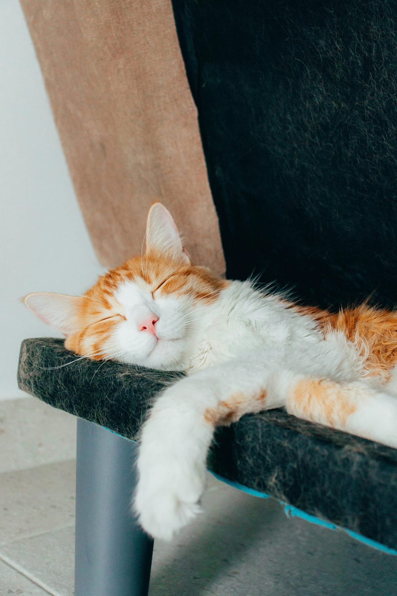 Are There CBD Products Specifically For Sleep? Are There CBD Products Specifically For Sleep?