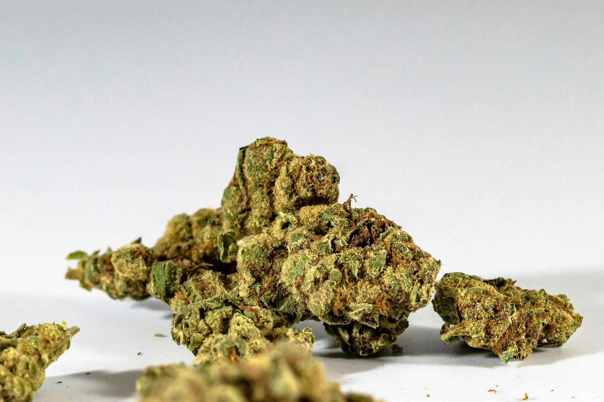 Overview Of Cannabis Laws In Colorado. Overview Of Cannabis Laws In Colorado.