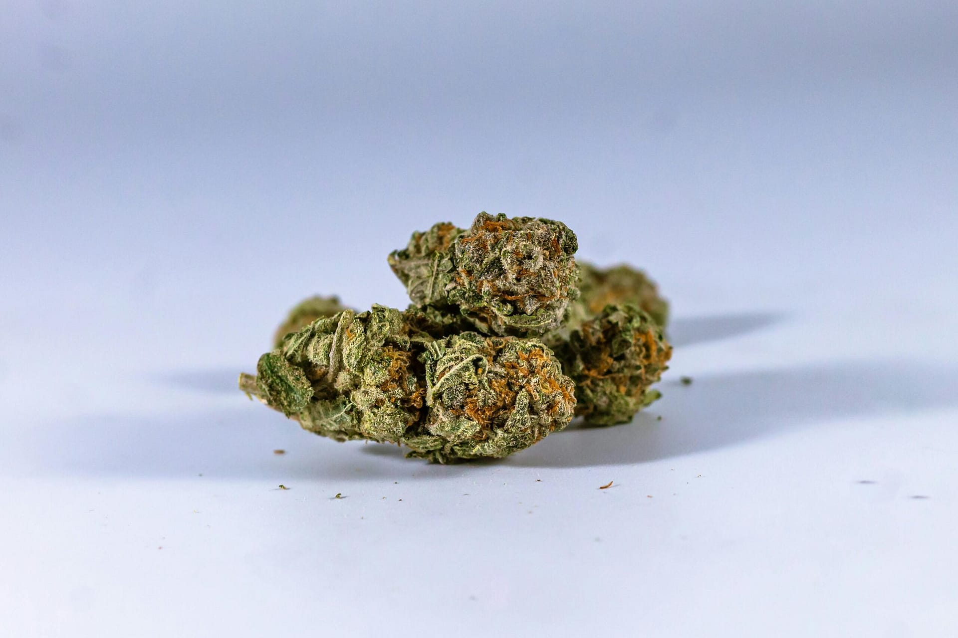 Overview Of Cannabis Laws In Colorado. Overview Of Cannabis Laws In Colorado.