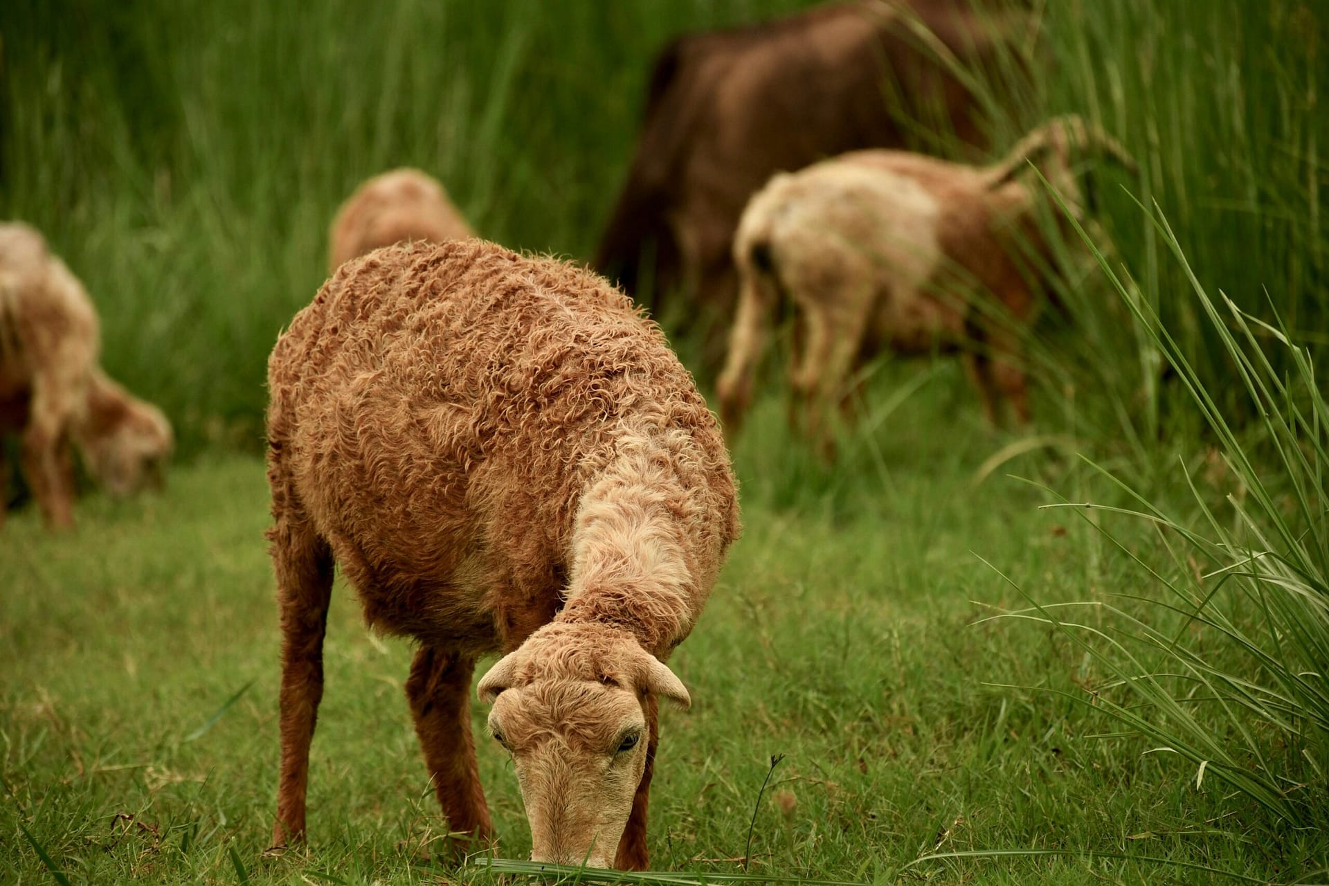 Starting A Hemp Farm: Step-by-step Guide.