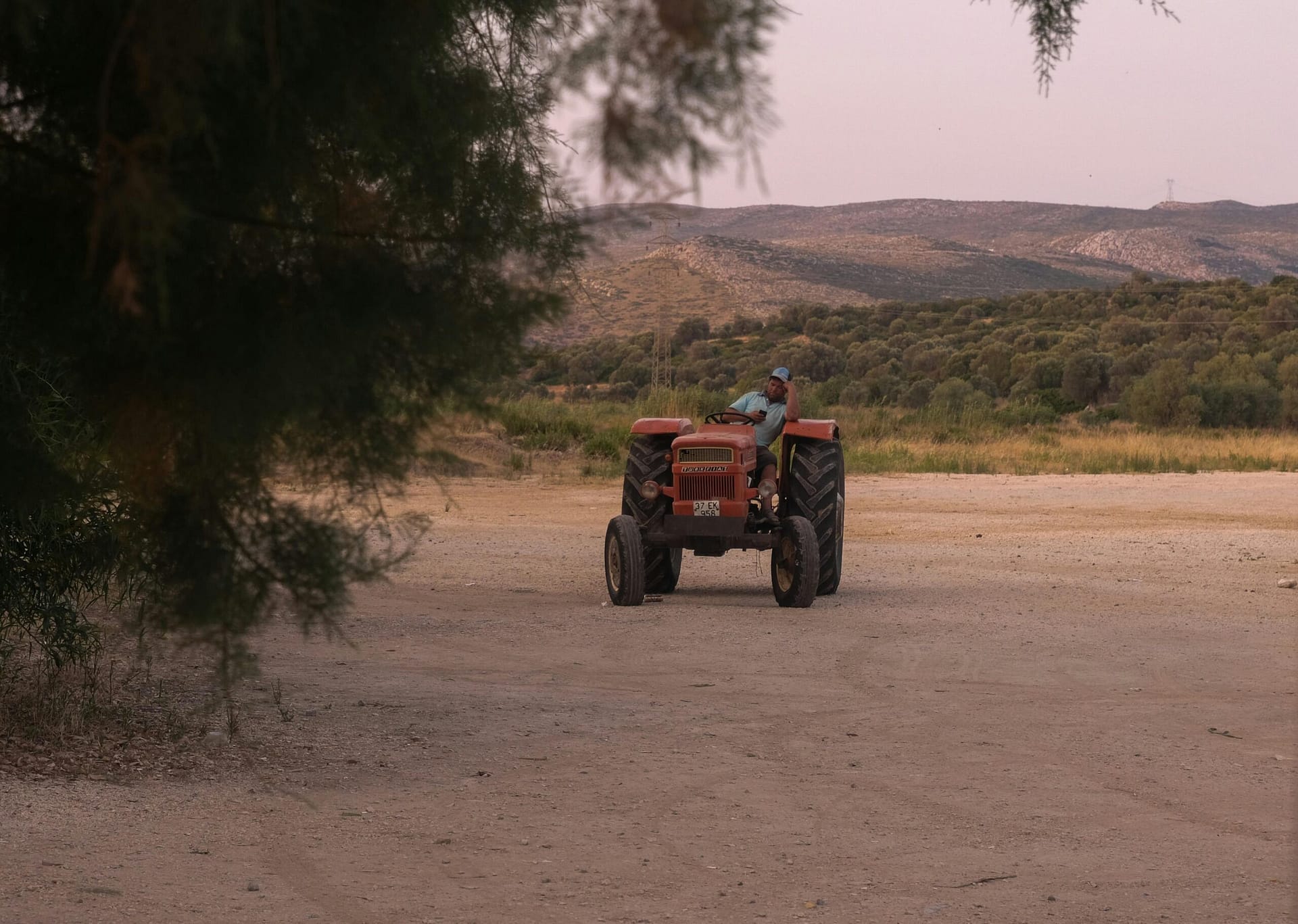 Starting A Hemp Farm: Step-by-step Guide.