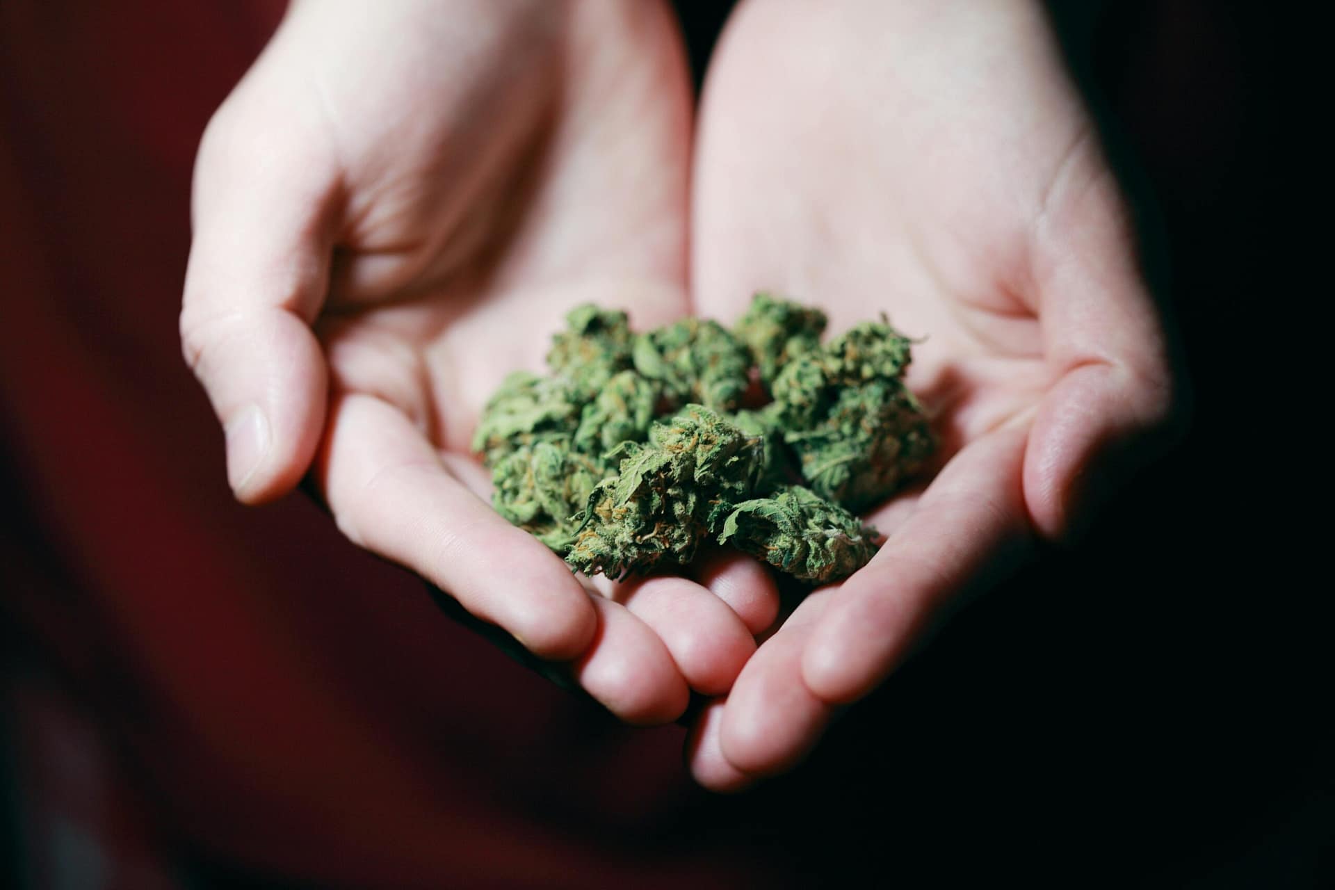 How To Start A Dispensary In Alaska? How To Start A Dispensary In Alaska?